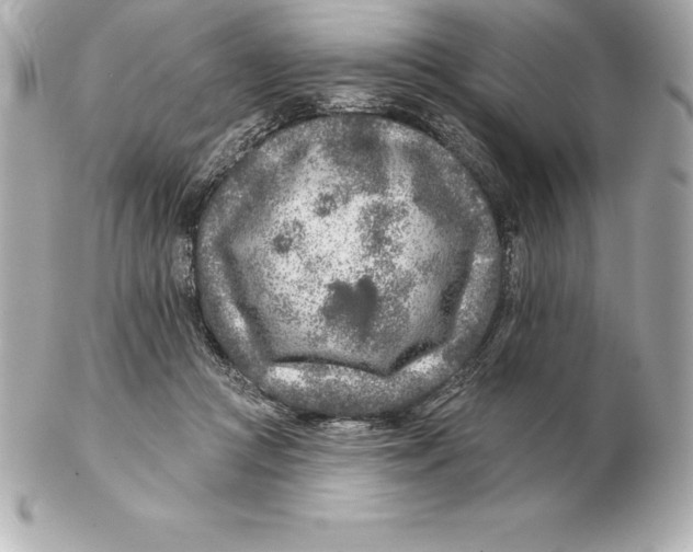 X0000102280361200808151933