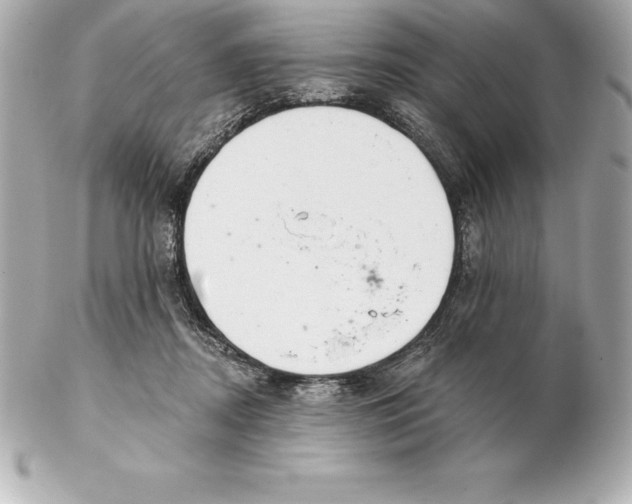 X0000102280362200808151933