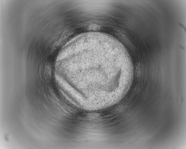 X0000102280363200808151933