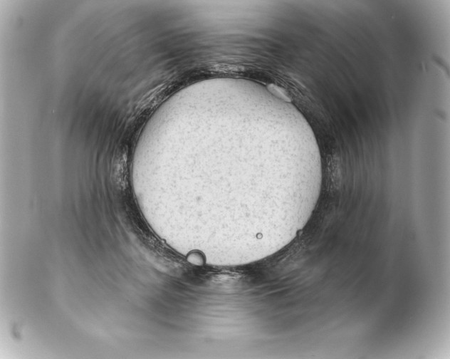 X0000102280364200808151934
