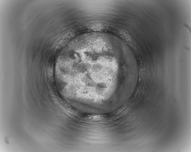 X0000102280365200808151934