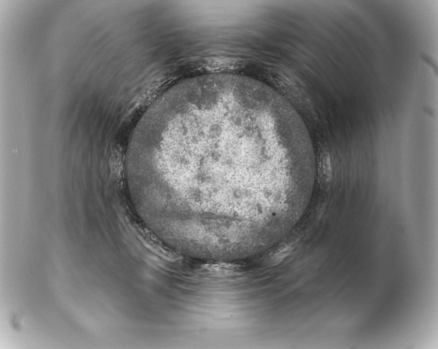 X0000102280367200808151934