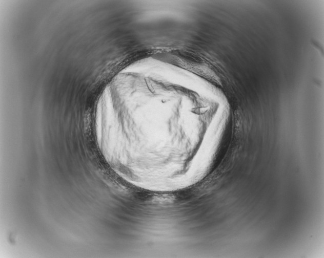 X0000102280369200808151934
