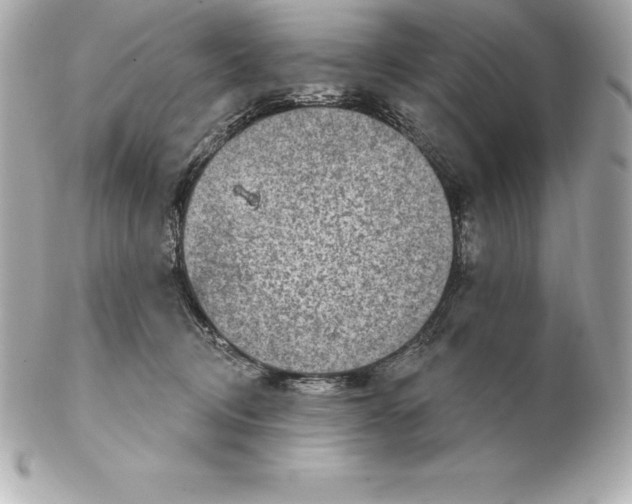 X0000102280370200808151934