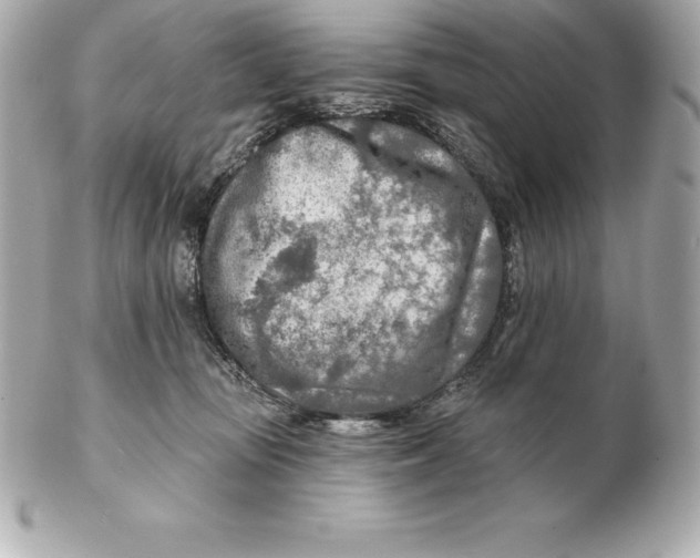 X0000102280371200808151934
