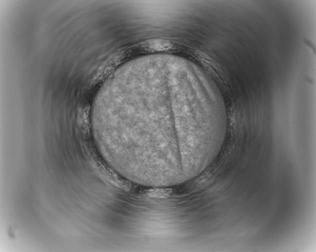 X0000102280373200808151934