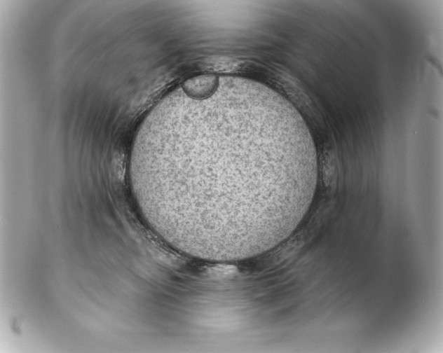 X0000102280374200808151934