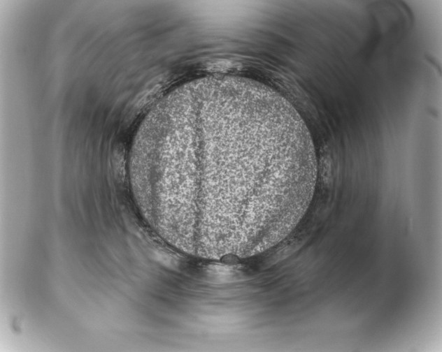 X0000102280375200808151934