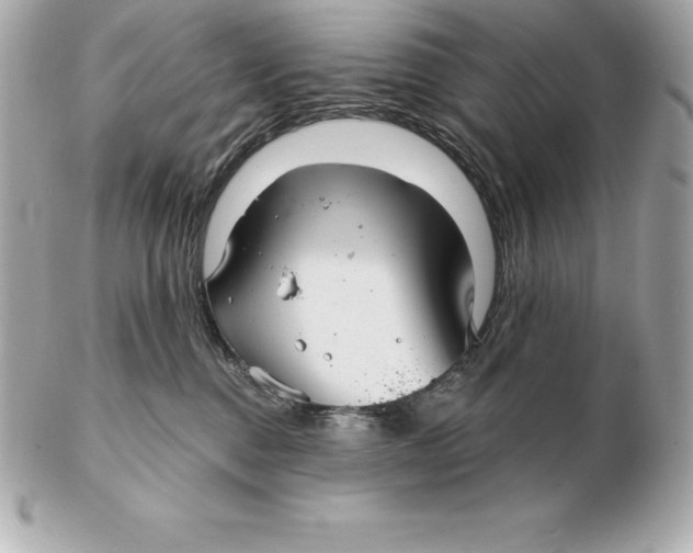 X0000102280376200808151934