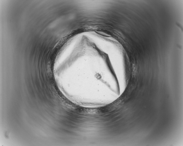 X0000102280377200808151934