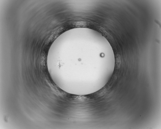 X0000102280379200808151934