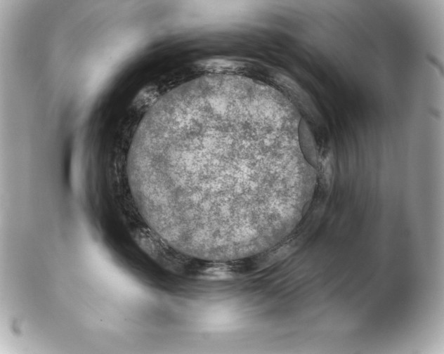 X0000102280381200808151934