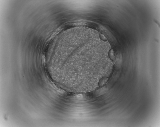 X0000102280382200808151934