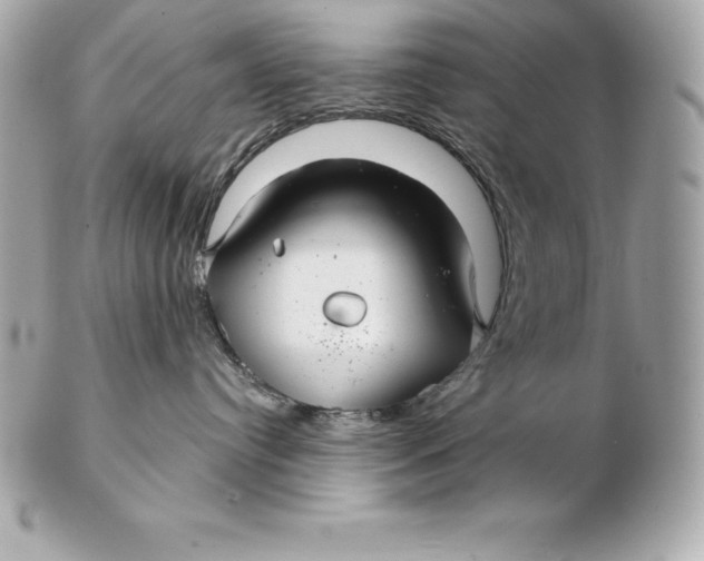 X0000102280384200808151934
