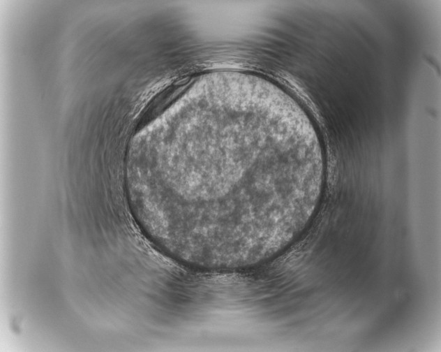 X0000102280385200808151933