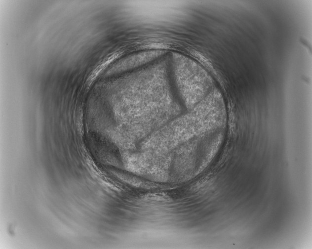 X0000102280386200808151933