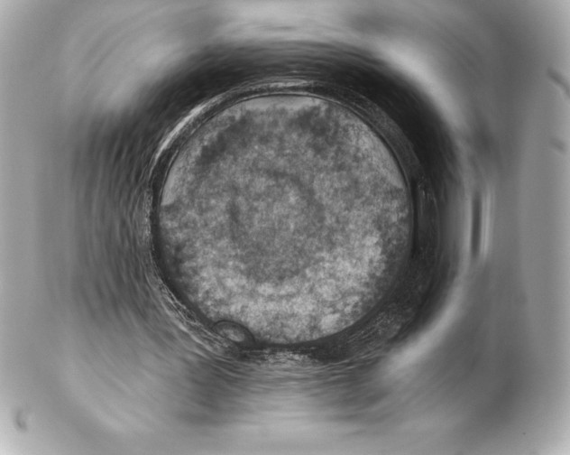 X0000102280387200808151933