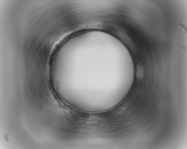 X0000102280388200808151933