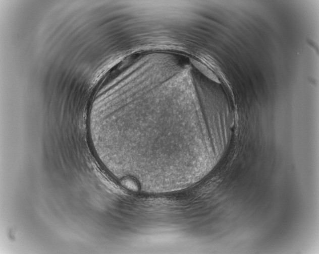 X0000102280389200808151933