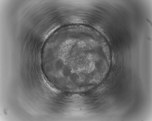 X0000102280390200808151933