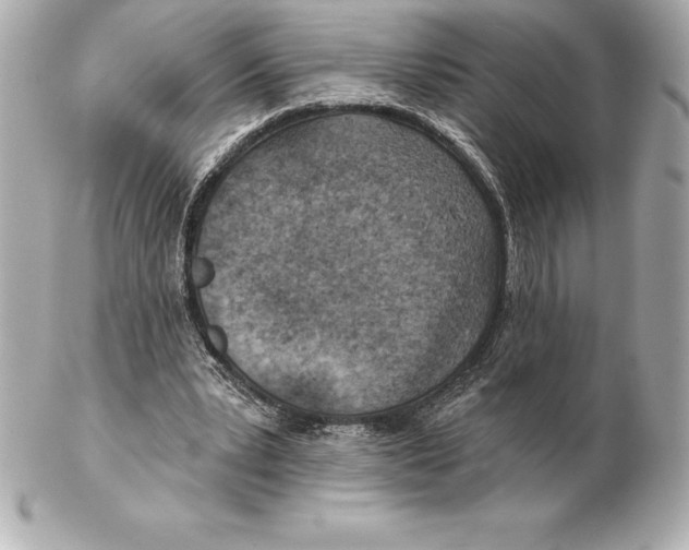 X0000102280391200808151933