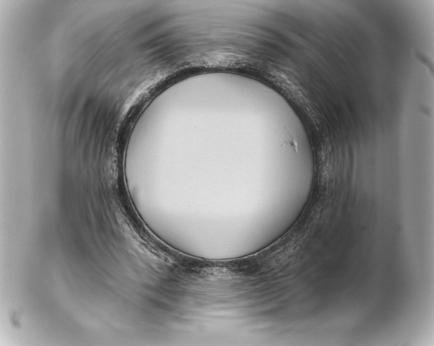 X0000102280392200808151933