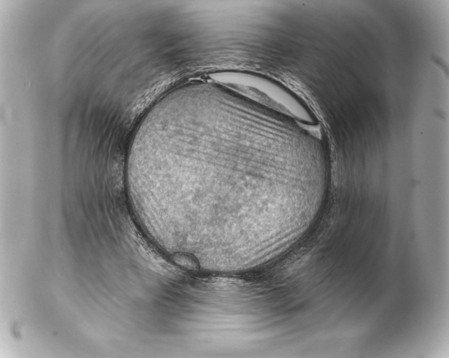 X0000102280393200808151933