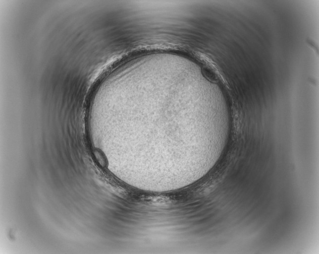 X0000102280395200808151933