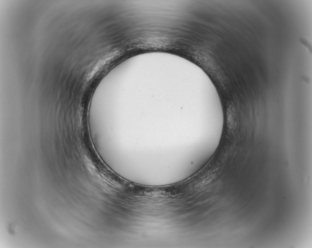 X0000102280396200808151933