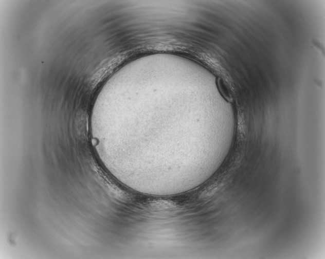 X0000102280397200808151933