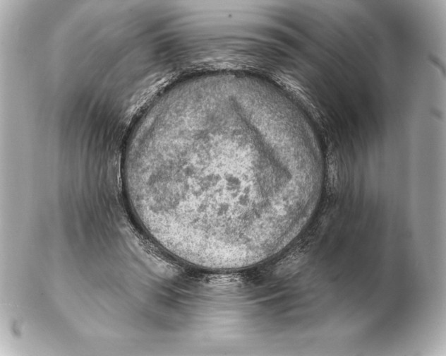 X0000102280398200808151933