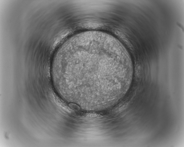 X0000102280399200808151933