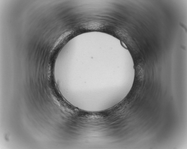 X0000102280400200808151933