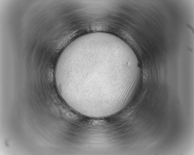 X0000102280401200808151933