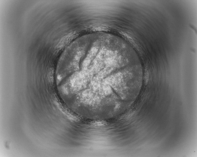 X0000102280402200808151933