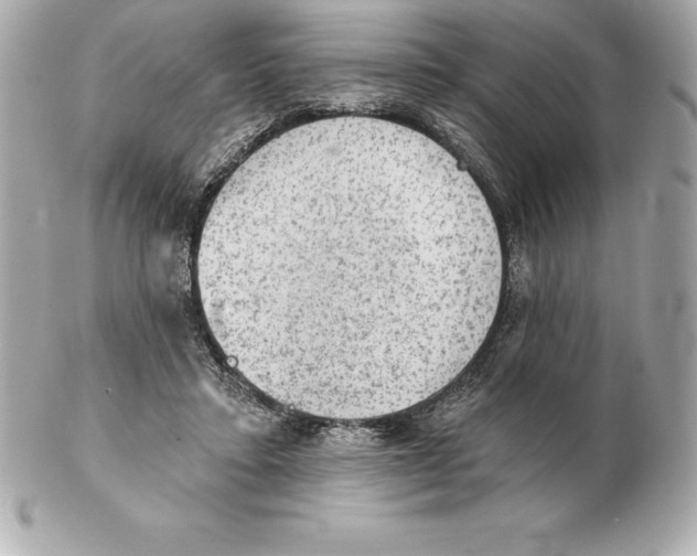 X0000102280403200808151933