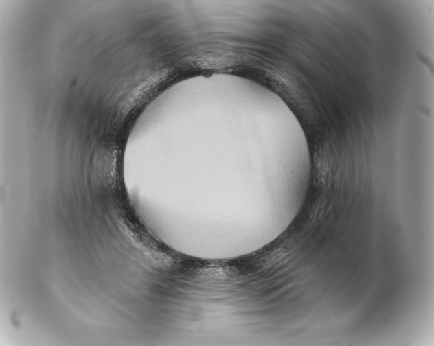 X0000102280404200808151933