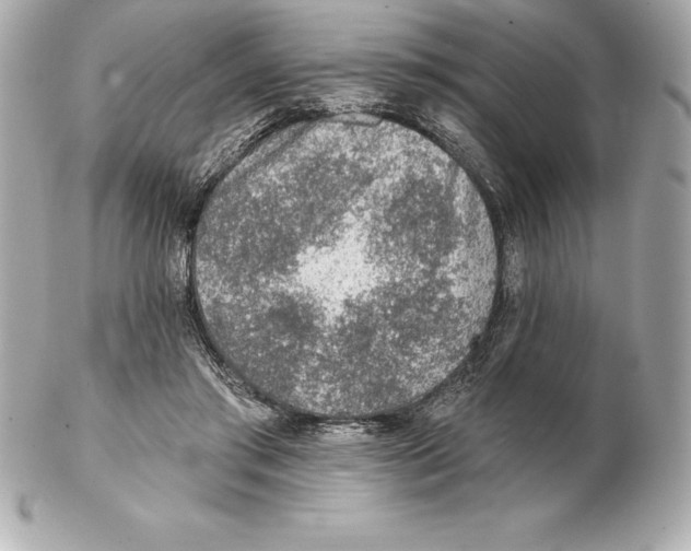 X0000102280405200808151933