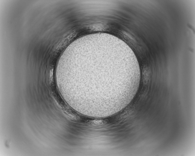 X0000102280406200808151933