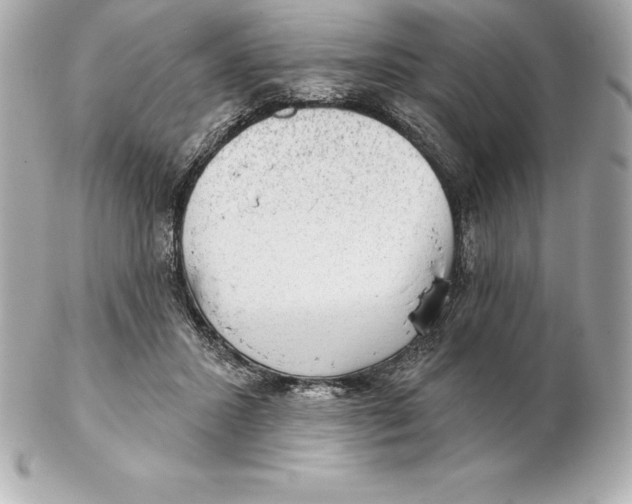 X0000102280407200808151933