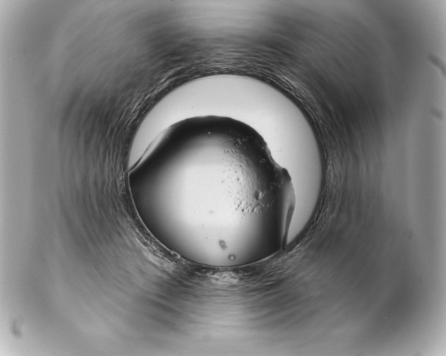 X0000102280409200808151933