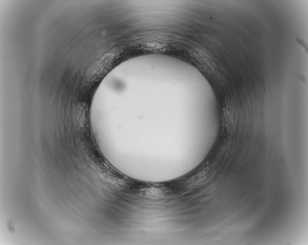 X0000102280412200808151933