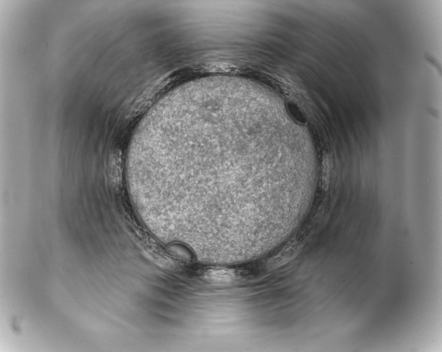 X0000102280413200808151933