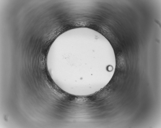 X0000102280414200808151933