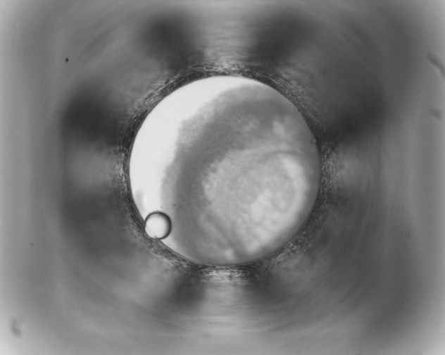 X0000102280415200808151933