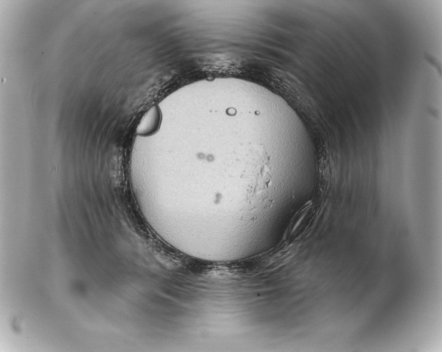 X0000102280416200808151933