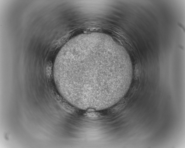 X0000102280417200808151933