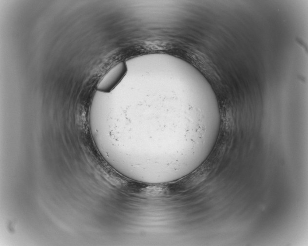 X0000102280418200808151933