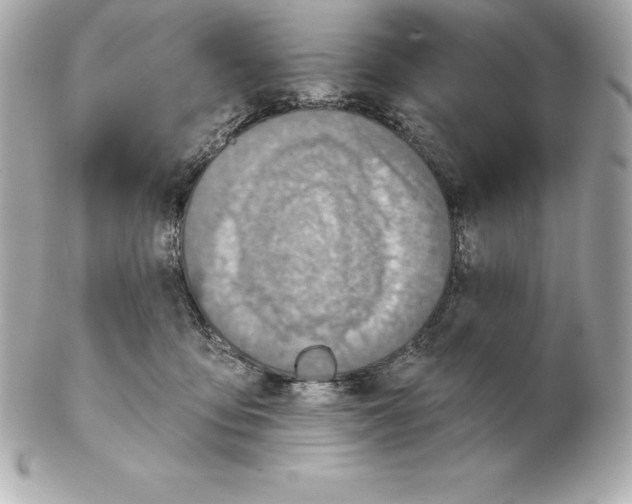 X0000102280419200808151933