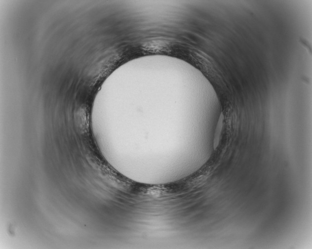 X0000102280420200808151933